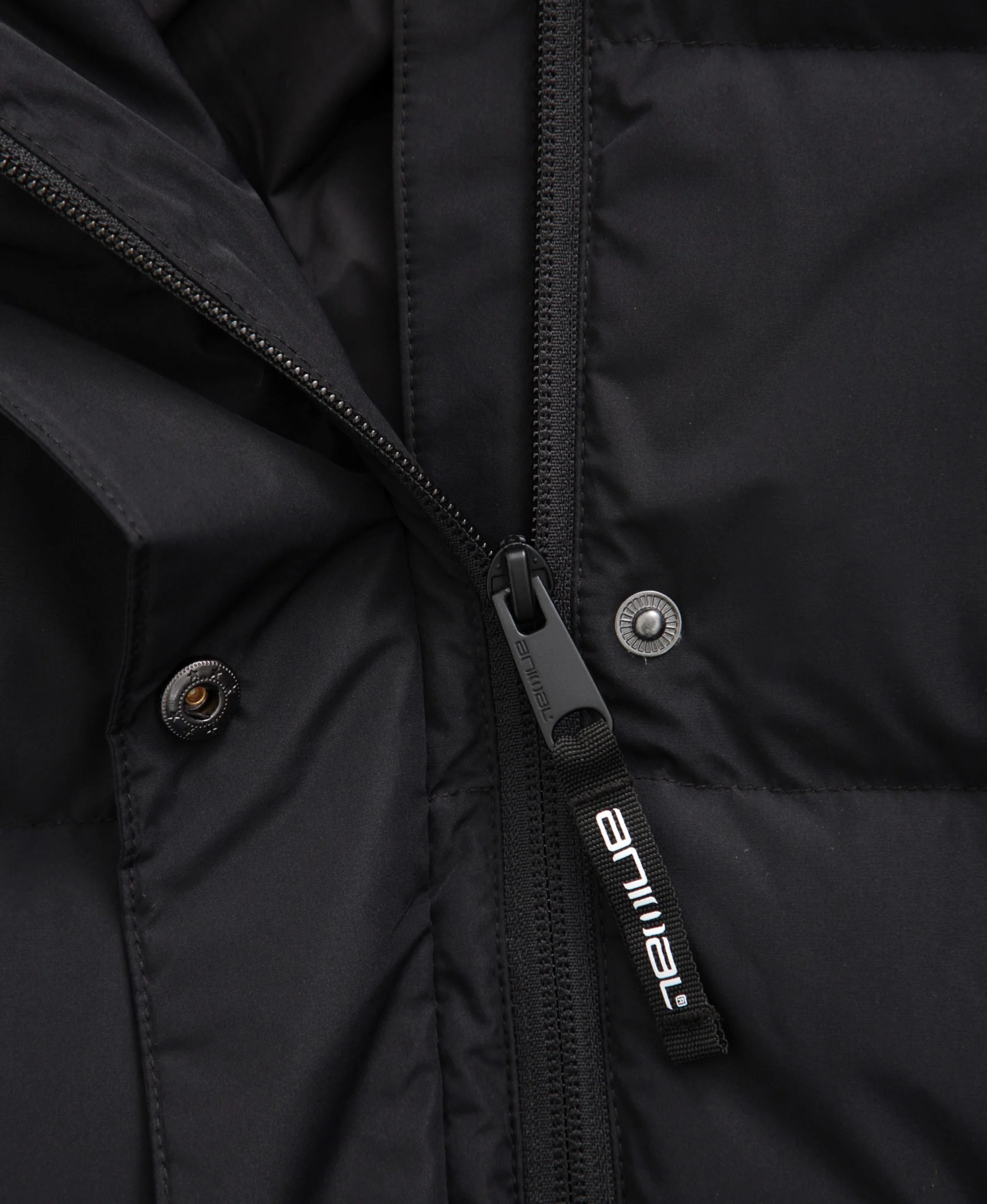 Ivy Womens Down Coat - Jet Black - Image 6