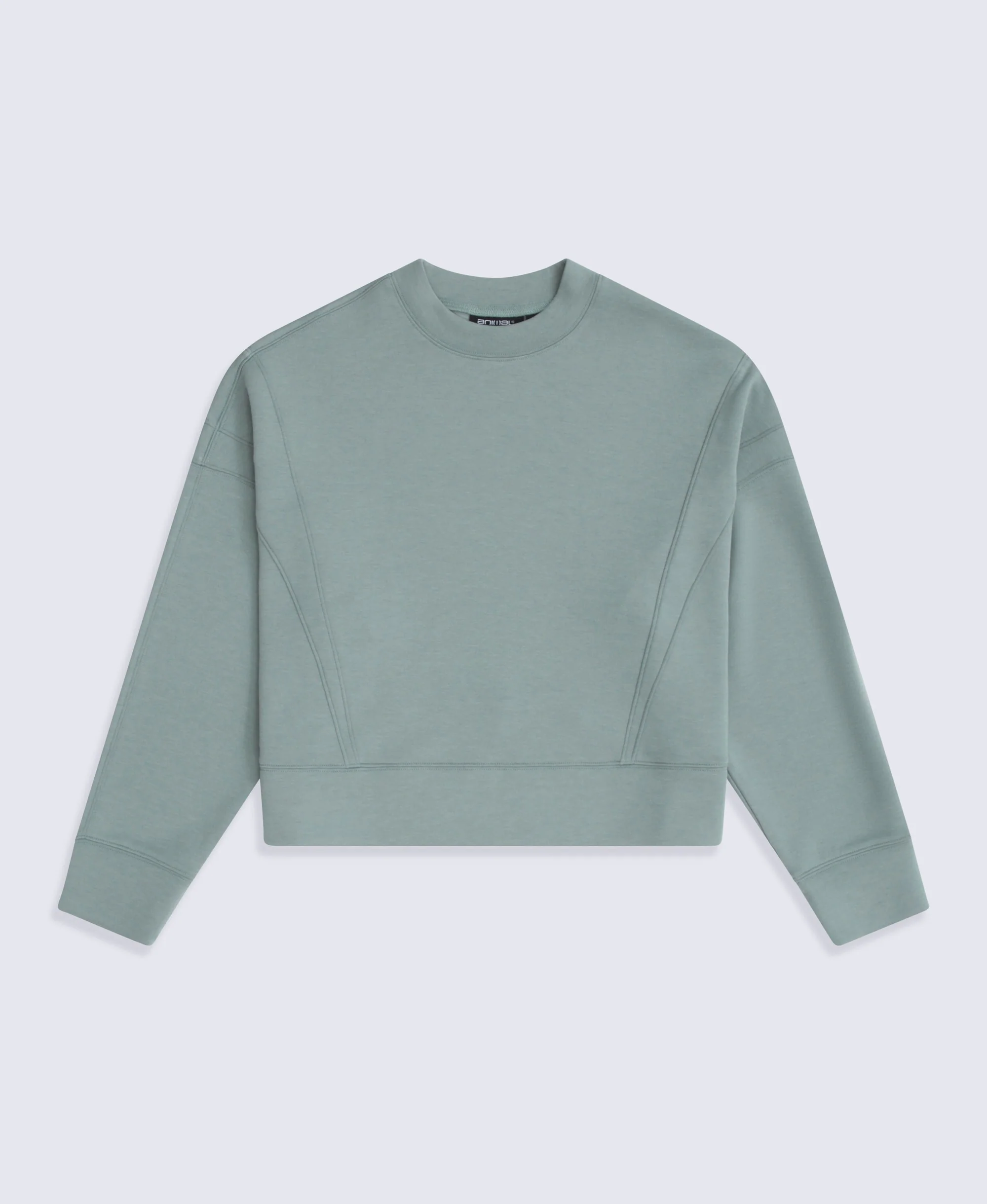 Active Womens Crop Sweatshirt - Pale Green - Image 5