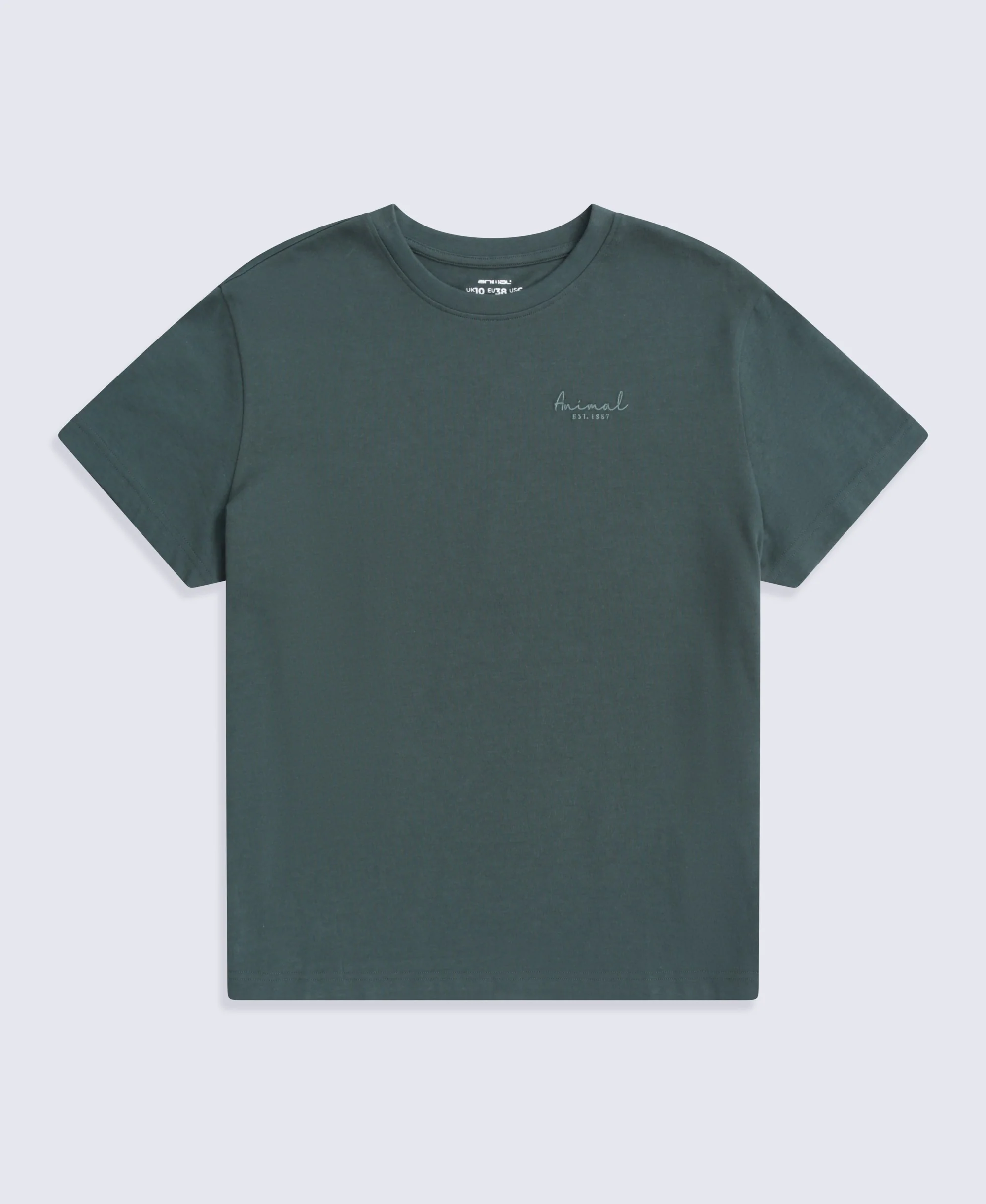 Grace Womens Heavyweight T-Shirt - Charcoal